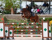 ROMANO LAS VEGAS CampITA2013- S5 0666 : Campionati Italiani 2013, Cattolica, Horse Riviera Resort, LAS VEGAS, ROMANO ROMINA, foto di Stefano Secchi ©